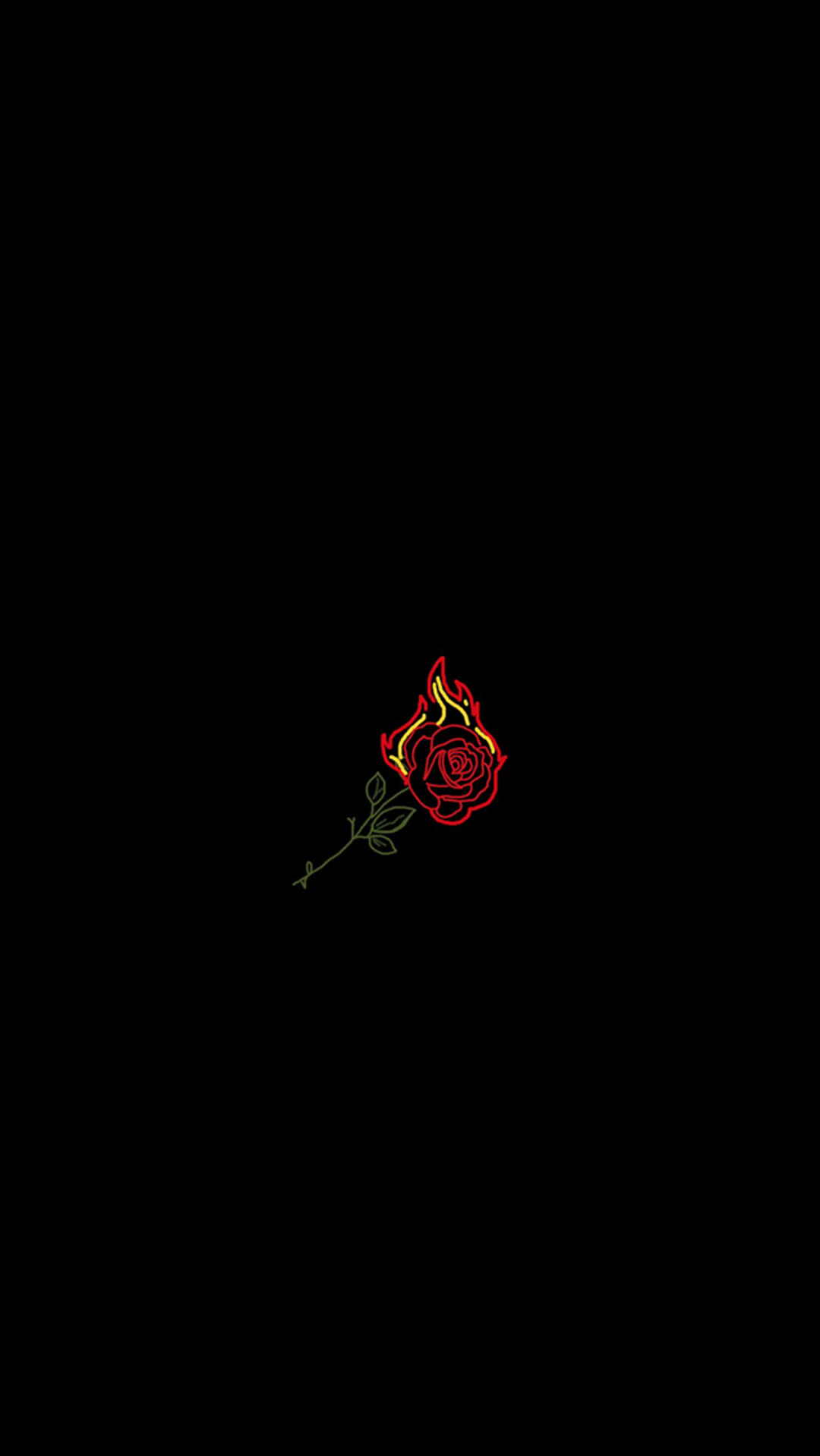hình nền hoa hồng giữa nền đen